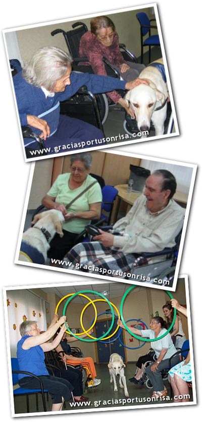 Imágenes de sesiones de terapias asistidas con perro